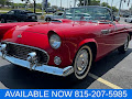 1955 Ford Thunderbird
