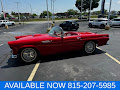 1955 Ford Thunderbird