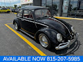 1964 Volkswagen Beetle